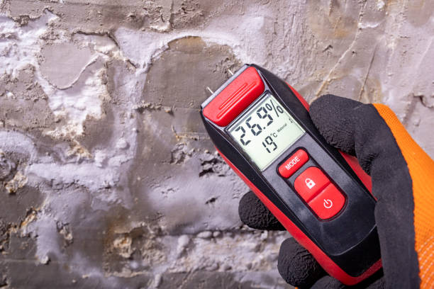 Best Kitchen Mold Remediation in Blue Springs, MO